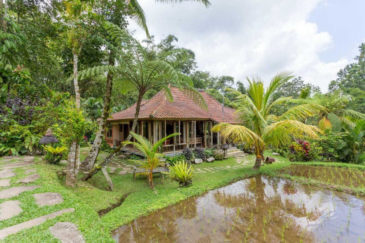 Prana Dewi Mountain Resort Джатилувих Экстерьер фото