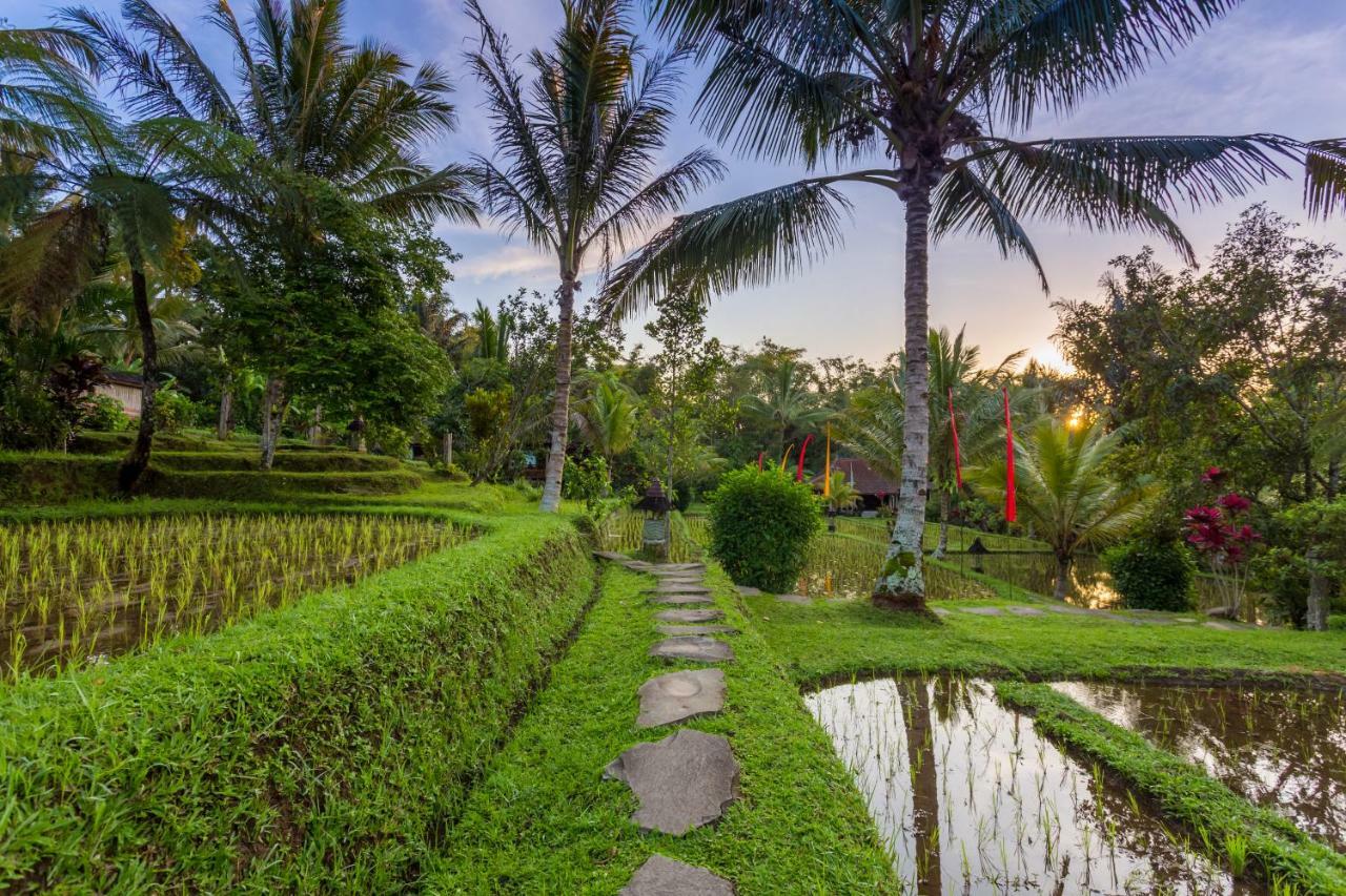 Prana Dewi Mountain Resort Джатилувих Экстерьер фото