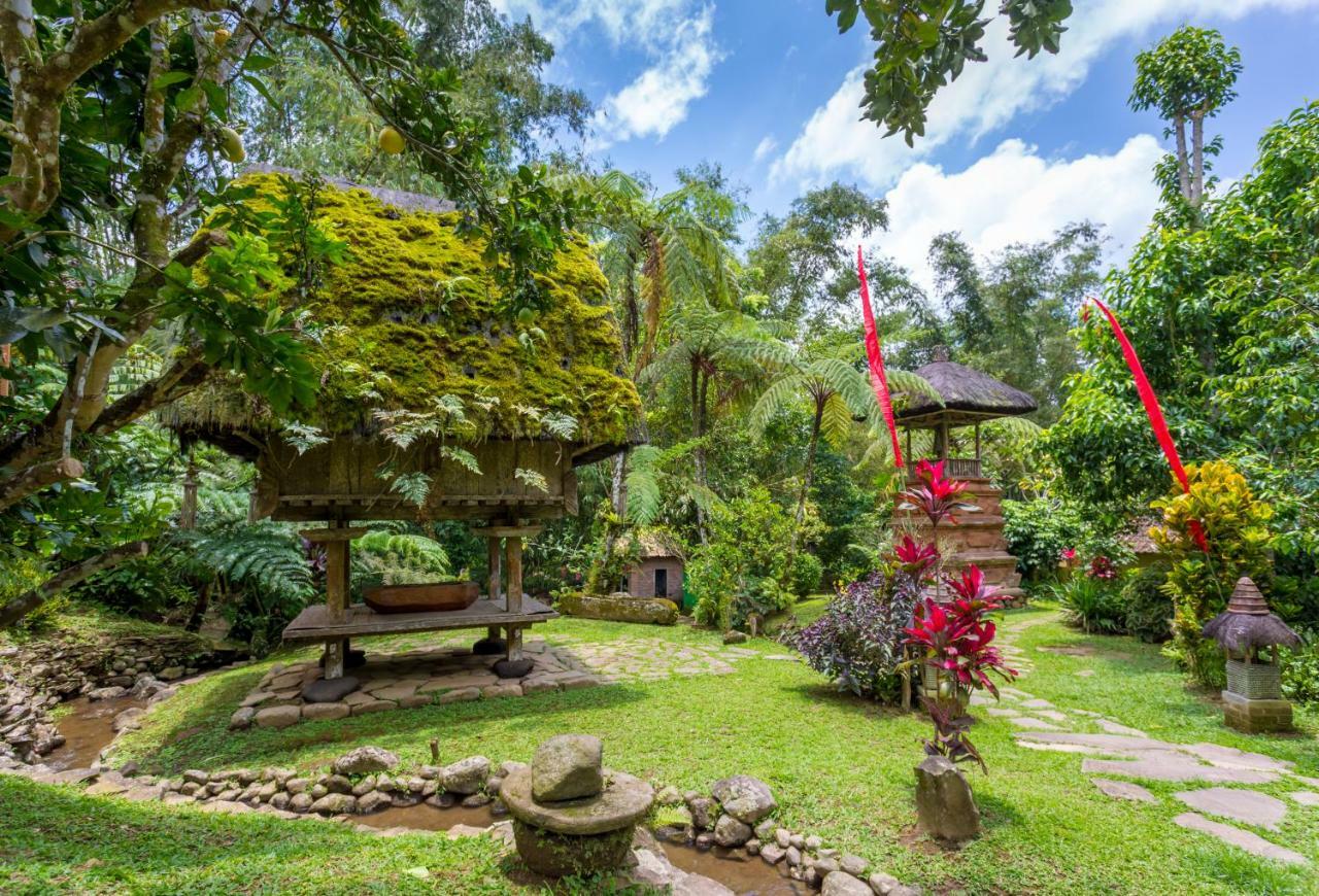 Prana Dewi Mountain Resort Джатилувих Экстерьер фото
